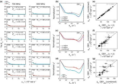 Figure 1. fits of all residues together between GB1(14.1 T) and 700 MHz (16.4 T) and a sample temperature of 300 corresponding normalized sample without paramagnetic dopant (GB1the GB115N R1ρ relaxation dispersion for crystalline GB1