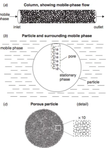 Figure 2.3. SEM images of the 3.6 µm core-shell Aeris WP C18 (A) and 1.7 µm stationary 