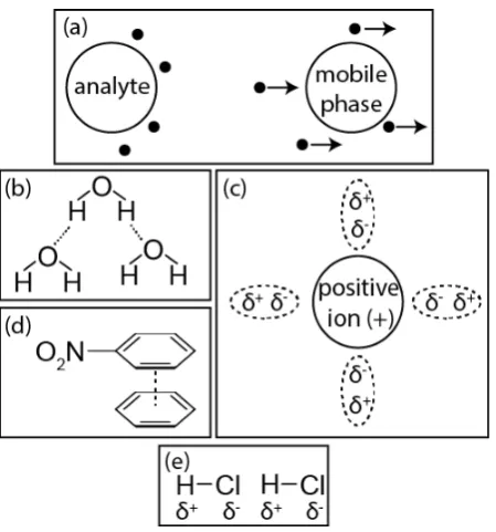 Figure 2.12. Visualisation of HPLC intermolecular interactions such as (a) dispersion 