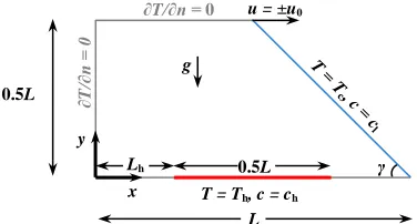 Fig. 1. Schematic of the problem 