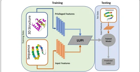 Fig. 1 A framework to classify protein complexes based on their binding affinities with the paradigm of learning using privileged information(LUPI)