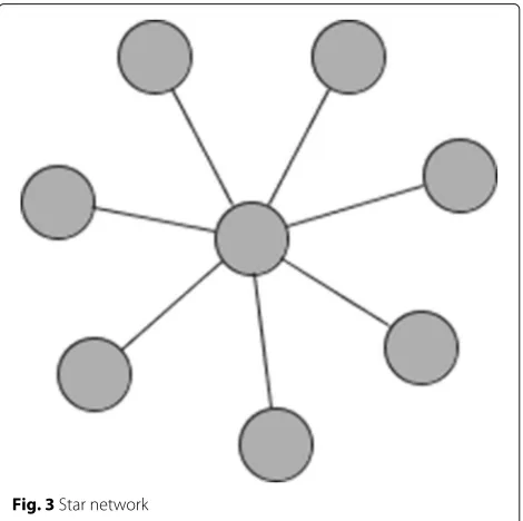 Fig. 3 Star network