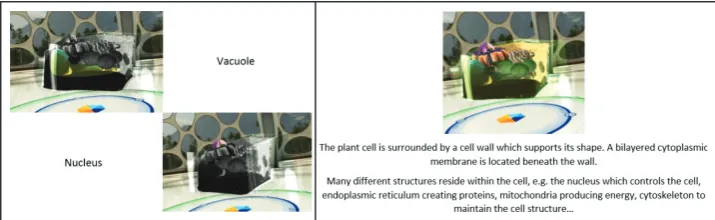 Figure 2. Example of the textbook conditions, using the same text and screenshots from the Lifeliqe Museum virtual reality environment.