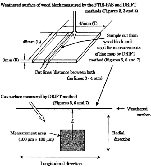 Fig. 1. Tested wood block and a sample cut from the block and usedphotoacoustic spectroscopy; to the center of the area; a cut surface of the sample