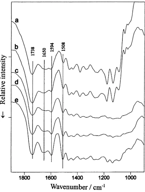 Fig. 5. Line map of DRIFT spectra of puspa weathered for 2 weeksin the vertical direction