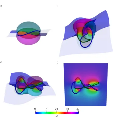 Figure 5. The structure of surface for the knot with opacities on the near sides of the images reduced to reveal the inner structure of in blue, green) from two viewing directions