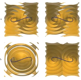 Figure 8. Scroll waves from a unknotted vortex filament. In (a) we show the zero level set of the phase field (19) and in (b) a modification of it where a sinusoidal modulation has been added to the solid angle framing, thereby adjusting the local spin rat