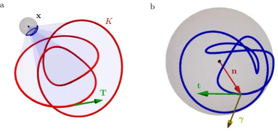 Figure 1. (a) An oriented knot self-intersections in correspondence with the crossings of the knot as seen from observation sphere about a point K with tangent vector T (here the 41) projects onto a unit x, giving the spherical curve shown in blue