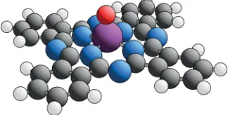 Figure 1. Ball-and-stick model representation of the VOPc molecule.Coloring used is O = red, N = blue, C = black, H = white, and V =purple.
