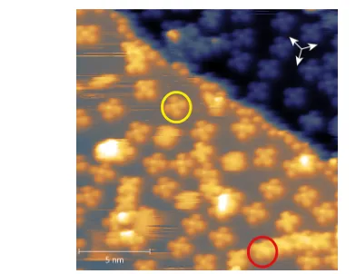 Figure 2. STM image recorded at( ∼80 K at a lower coverage of VOPcV = −1.5 V, I = 54 pA)