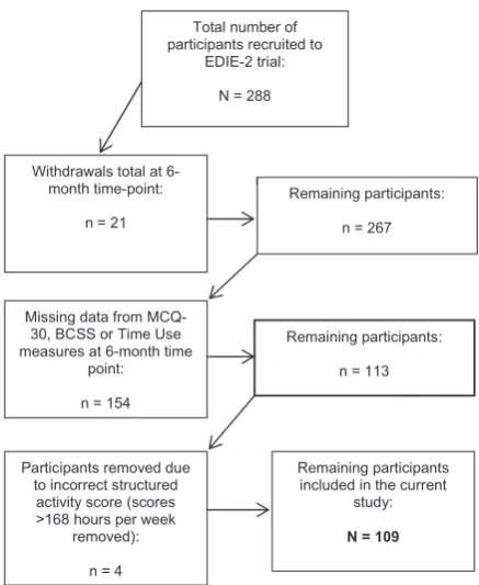 Fig. 1. Illustration of how the participant number (N = 109) is arrived at in this study.