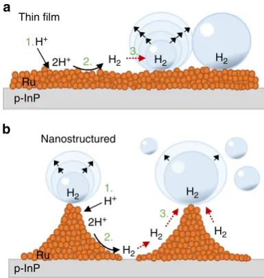 Fig. 5 Cross sectional illustration of a gas bubble evolution model on thebubbles at the induced Rh tips, catalytic hot spots (discretionary nucleation spots on the thin-gradients along the surface facilitate Hformation