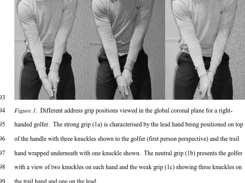 Figure 1.  Different address grip positions viewed in the global coronal plane for a right-