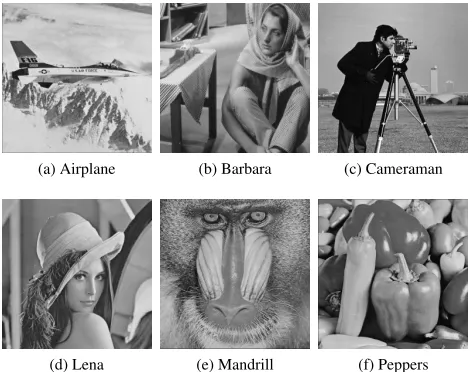 FIGURE 6. Greyscale test images of size 512 × 512 with 256 tonal options.