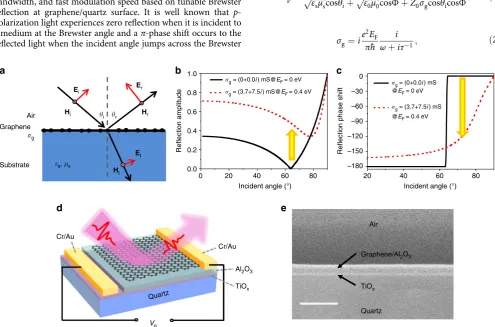 Fig. 1 Optical arrangement and device conﬁguration. a Optical path diagram of the incident light from air to graphene/substrate medium