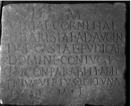 Fig. 14. AshLI 150 = Ashmolean AN 1960.761 [photograph AshLI]