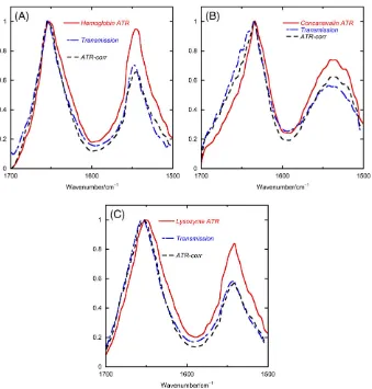FIGURE 3Baseline‐subtracted spectra for, A, hemoglobin, B, concanavalin A, and, C, lysozyme all normalized to a maximum of 1 in theamide I band