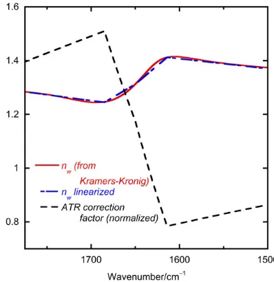 FIGURE 4‐Wavelength dependence of the refractive index ofwater in the amides I and II regions overlaid with the correctionfactor used to correct aqueous protein attenuated total reflectance(ATR) spectra to resemble transmission spectra