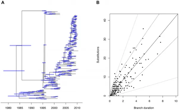 Figure 4. Analysis of Mycobacterium leprae dataset. (A) Linear regression of root-to-tip (y-axis) versus sampling dates (x-axis)