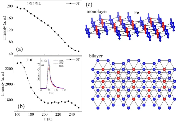 Figure 3. Temperature dependence of the integrated intensities of (1/3 L and ((panel) and a stacking of two adjacent monolayers into a bilayer (lower panel)
