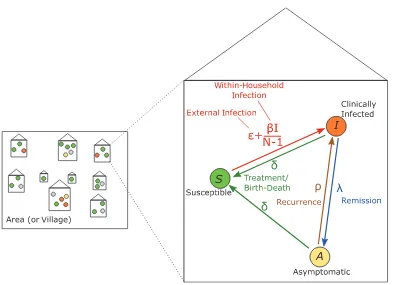 Figure 1.Schematic of the model structure for transmission of yaws. Each individual in the studied population is in a household of a different size,and treatment/birth-death,with the observed number of adults and children