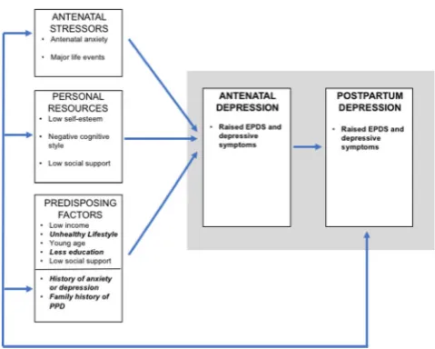 Figure 4. A modified version of the Leigh and Milgrom8 biopsychosocial model of perinatal depression, incorporating findings from our study.