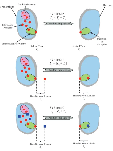 Fig. 1.Summary of the System models corresponding to each modulationscheme. System A: a synchronized MT, system B: an asynchronous MT withindistinguishable information particles, and system C: an asynchronous MTwith distinguishable information particles