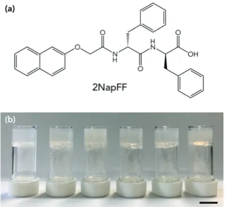 Fig. 2(a) Bar chart showing the expected freezing point of the waterthe freezing point of the gels at diﬀerent concentrations of 2NapFF.Hatched bars are the measured freezing point and red bars are the freezingpoint of distilled water on the rheometer (Fig
