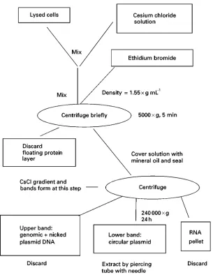 Table 2Some density gradient media commonly used fornucleic acid separation