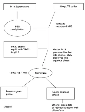 Table 3Salt solutions used for nucleic acid precipitation