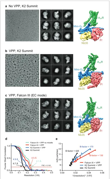 Figure 2. Cryo-EM of the Asections, with the left-hand section showing a representative micrograph obtained on a Titan Krios, the centralsection depicting 2D class averages and the right-hand section the refined 3D reconstruction obtained from thedata coll