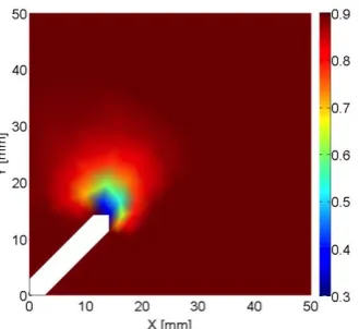 Fig 2. Local area in proximity of the crack tip for the notched concrete panel: the effect of the damage influences the direction of crack initiation considering the damage state at the time step immediately before failure starts