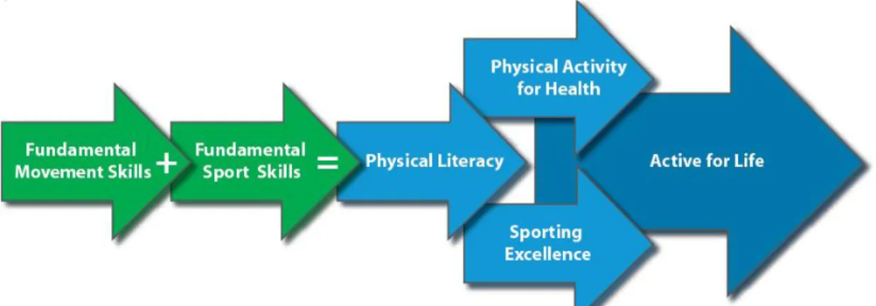 Figure 3 Participation In Lifelong Physical Activity (Way et al, 2005) 