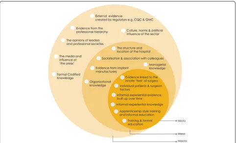 Fig. 2 Summary of the of knowledge and evidence identified in case studies of guideline implementation in orthopaedic practice