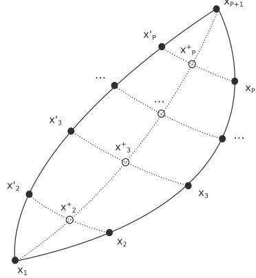 FIG. 1. Diagram showing the ring representing the forward and backwardpaths: {x, x′} beads are indexed in accord to their position away from beadx1 and rotated to obtain x+, the sum coordinates (the mean, if a = 1)