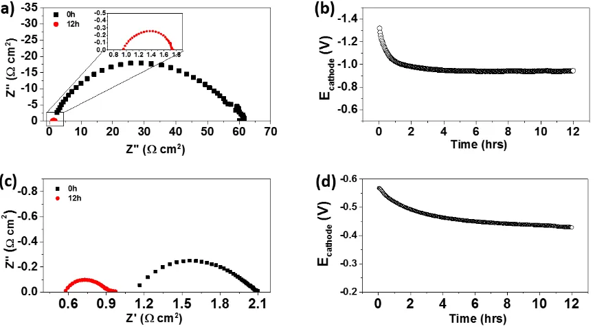Figure 1. Electrochemical performance of directly assembled LSM cathode on (a,b) YSZ and (c,d) GDC electrolytes after polarization at 900oC and 500 mAcm-2 for 12h