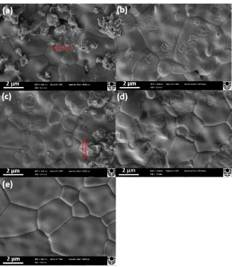 Figure 2. SEM micrographs of YSZ electrolyte surface after polarization at 900oC and 500 mAcm-2for (a,b) 1 h and (c,d) 12 h
