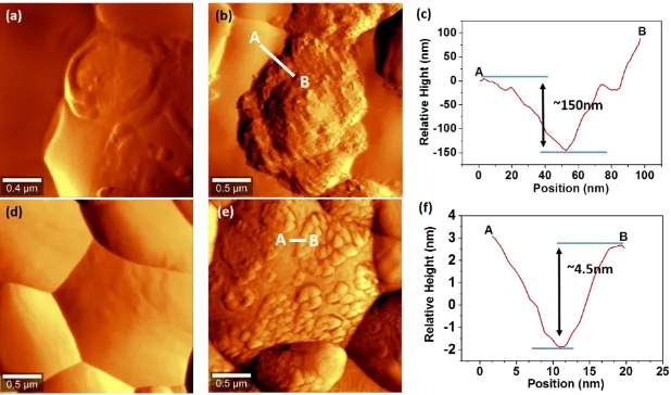 Figure 4. AFM micrographs and line scan of (a,b,c) YSZ and (d,e,f) GDC electrolyte surfaces after polarization at 900oC and 500 mAcm-2 for (a,d) 1 h and (b,e) 12 h