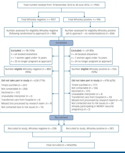 Fig. 1Flow chart of women through the study. DNA, did not attend.