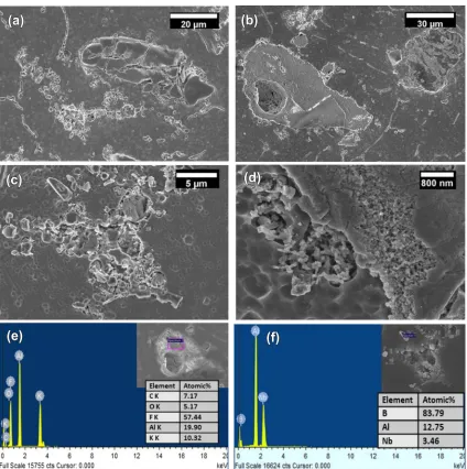 Fig. 3. FESEM micrographs of the particles in melt with (a, b) no stirring, (c, d) stirring every 15 min, (e) EDX on the region of the unstirredsample (showing traces of salt), and (f) EDX on particles formed in the case of the stirred sample.