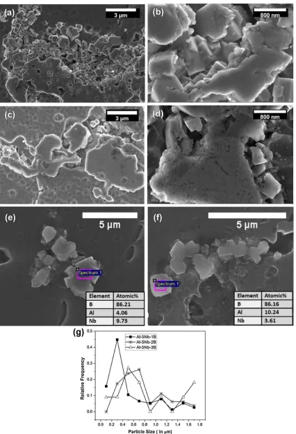 Fig. 5. FESEM micrograph of master alloys: (a, b) Al-5Nb-2B, (c, d) Al-5Nb-3B. (e) EDS analysis of Al-5Nb-2B master alloy