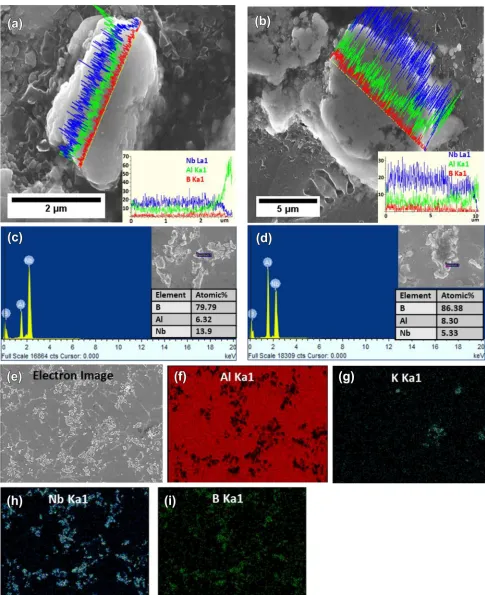 Fig. 7. (a, b) SEM–EDX on intermetallic particles formed in Al-5Nb-2B. (c) Line scan. (d) Point analysis