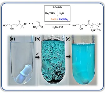Figure 7: Polymerization of an acrylamide via pre-disproportionation of Cu(I)Br. (a) aqueous solution of 