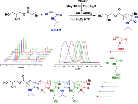 Figure 8. Synthesis of multi-block copolymers composed of NiPAm, DMA and HEAm by iterative Cu(0)-RDRP 