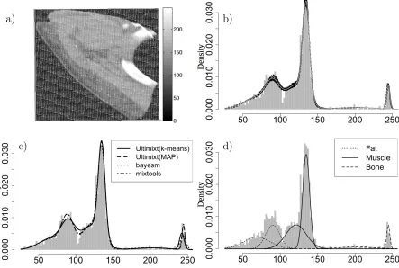 Figure 6: CT image data and the analysis result: (a) The CT image of a cross-section