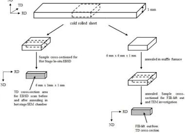 Fig. 1. Sample geometry for Hot Stage quasi In-situ EBSD (left) and FIB-lift out TEM (right) investigation