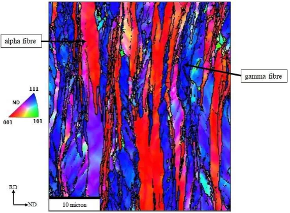 Fig. 2, alpha fibre grains are not only represented as red colour for grain orientation spread around 