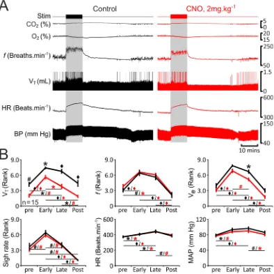 Figure 4. Reduced respiratory response to simulated exercise in conditions of pFanaesthetized rats