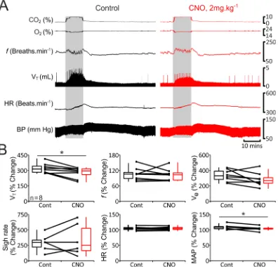 Figure 6.RTN/C1 neurons before (black) and after (red) administration of CNO. Sighing was absent in 2 rats at rest, thus n , V± SEM) illustrating magnitude of changes in V= 6 for this parameter