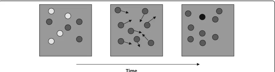 Fig. 1 Example display of experiment 1. The light grey disks in the first frame were yellow in the experiment proper and the black disk in the lastframe was red